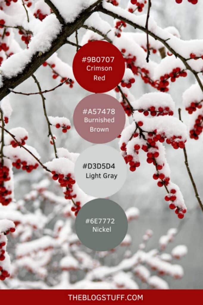 A wintry Christmas palette with snowy branches and red berries, evoking a cozy, frosted holiday scene. Ideal for adding a touch of nature-inspired elegance to your Christmas decor.