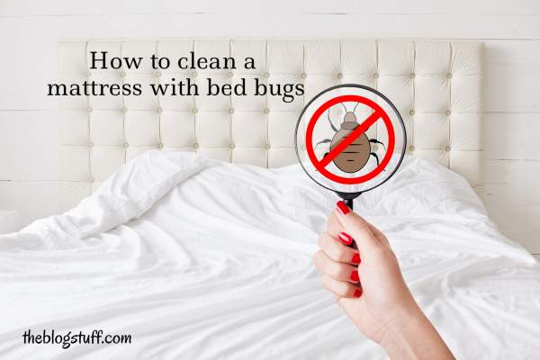 How to clean a mattress that has bed bugs