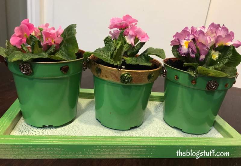 plastic pots decoration ideas