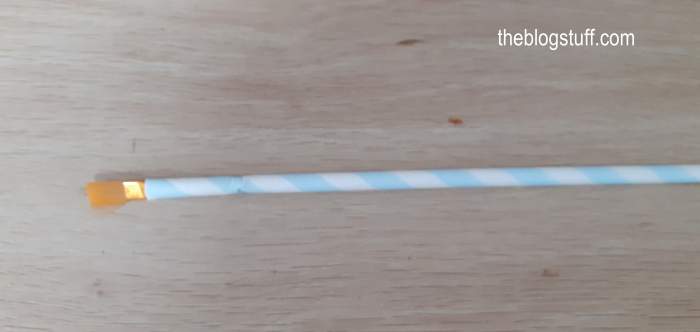 A paintbrush inside a straw