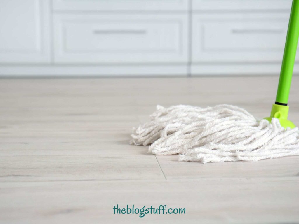 Wood floor and mop