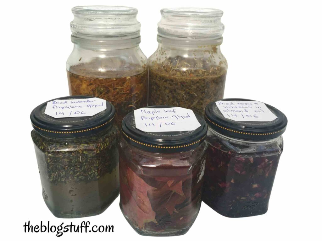 5 jars with herbs macerating in vegetable oil