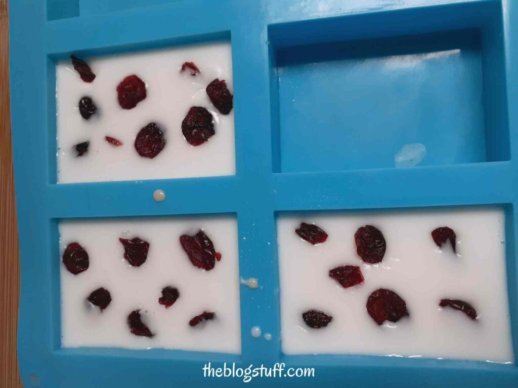 Silicon mold with soap mixture and cranberries on top