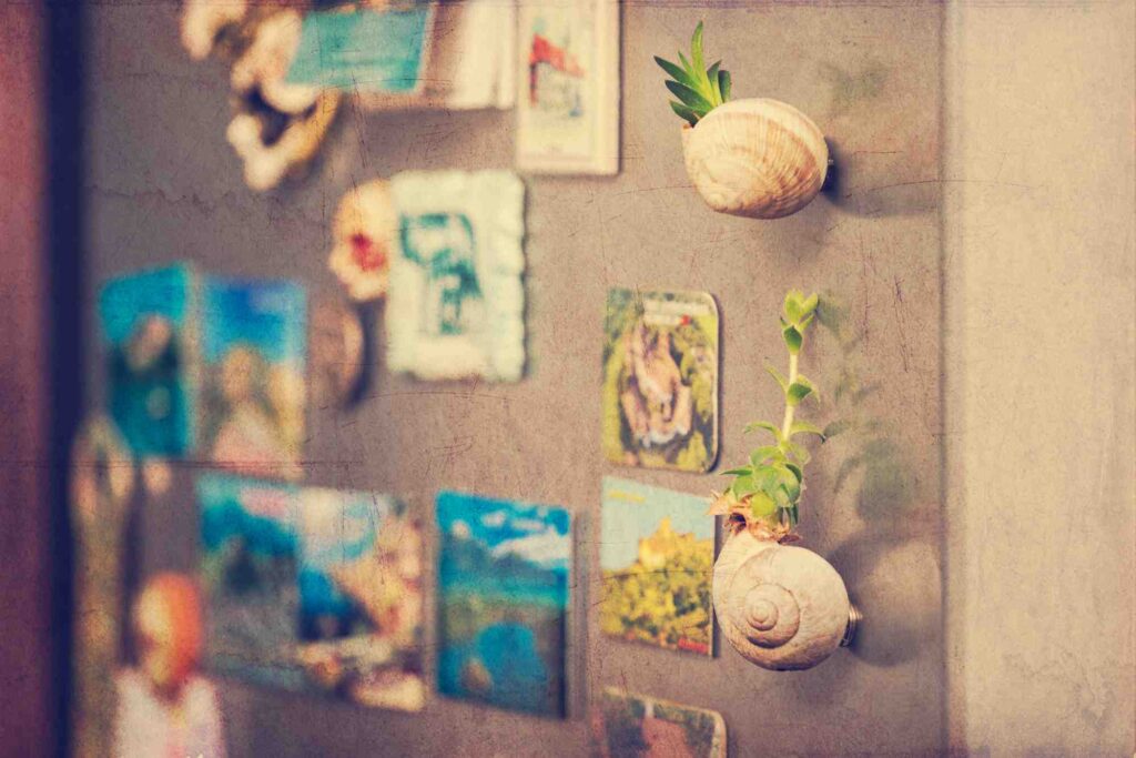 Reusing sea shells as fridge magnets