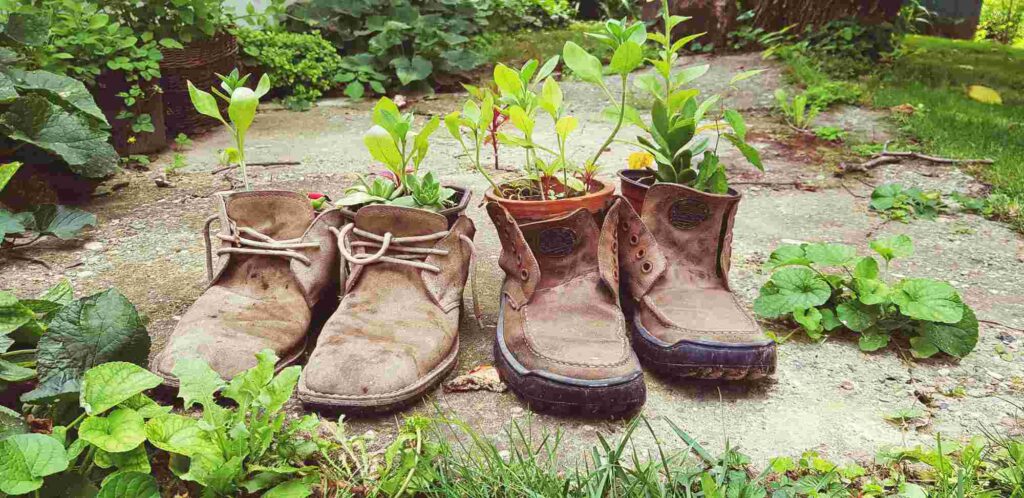 reusing old boots as planters