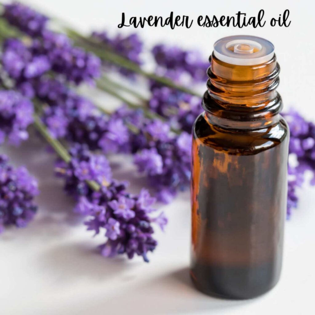 Lavender essential oil in a bottle