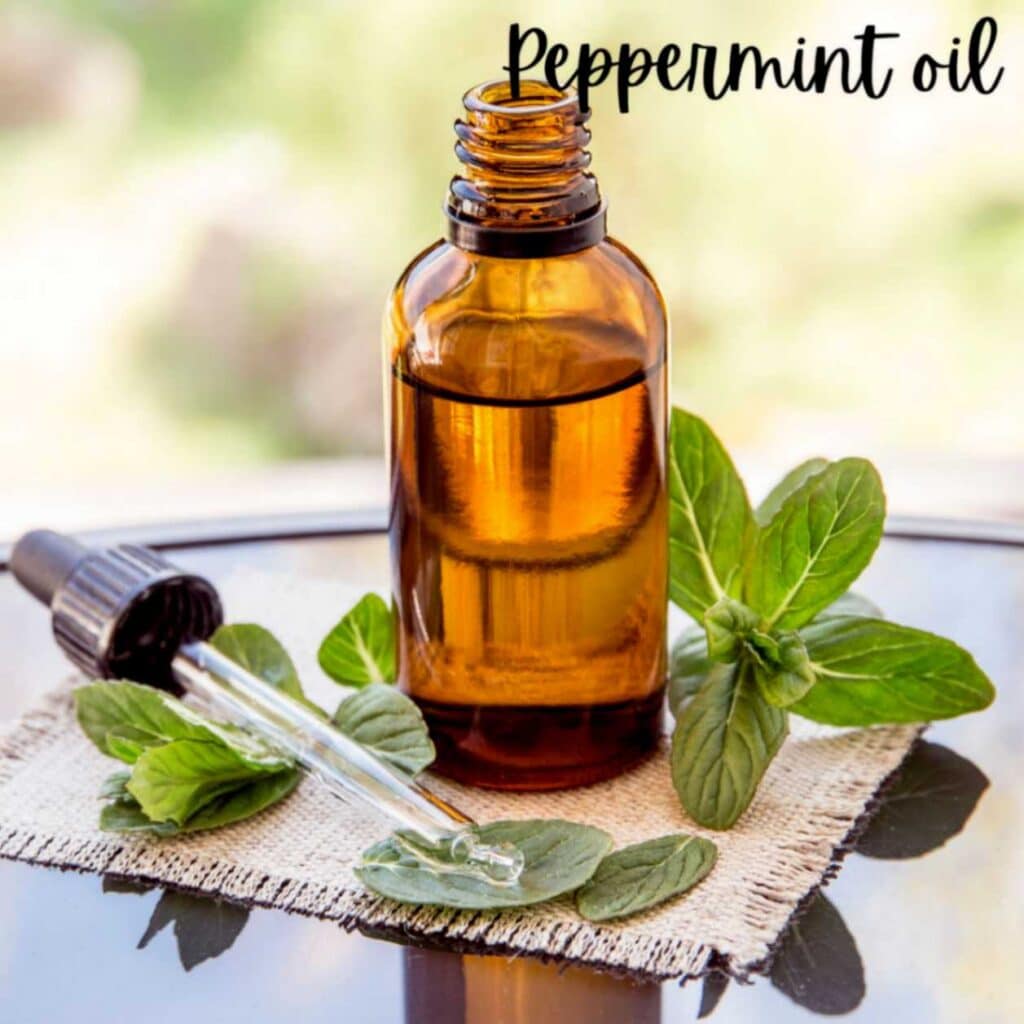 Peppermint essential oil in a bottle with a dropper