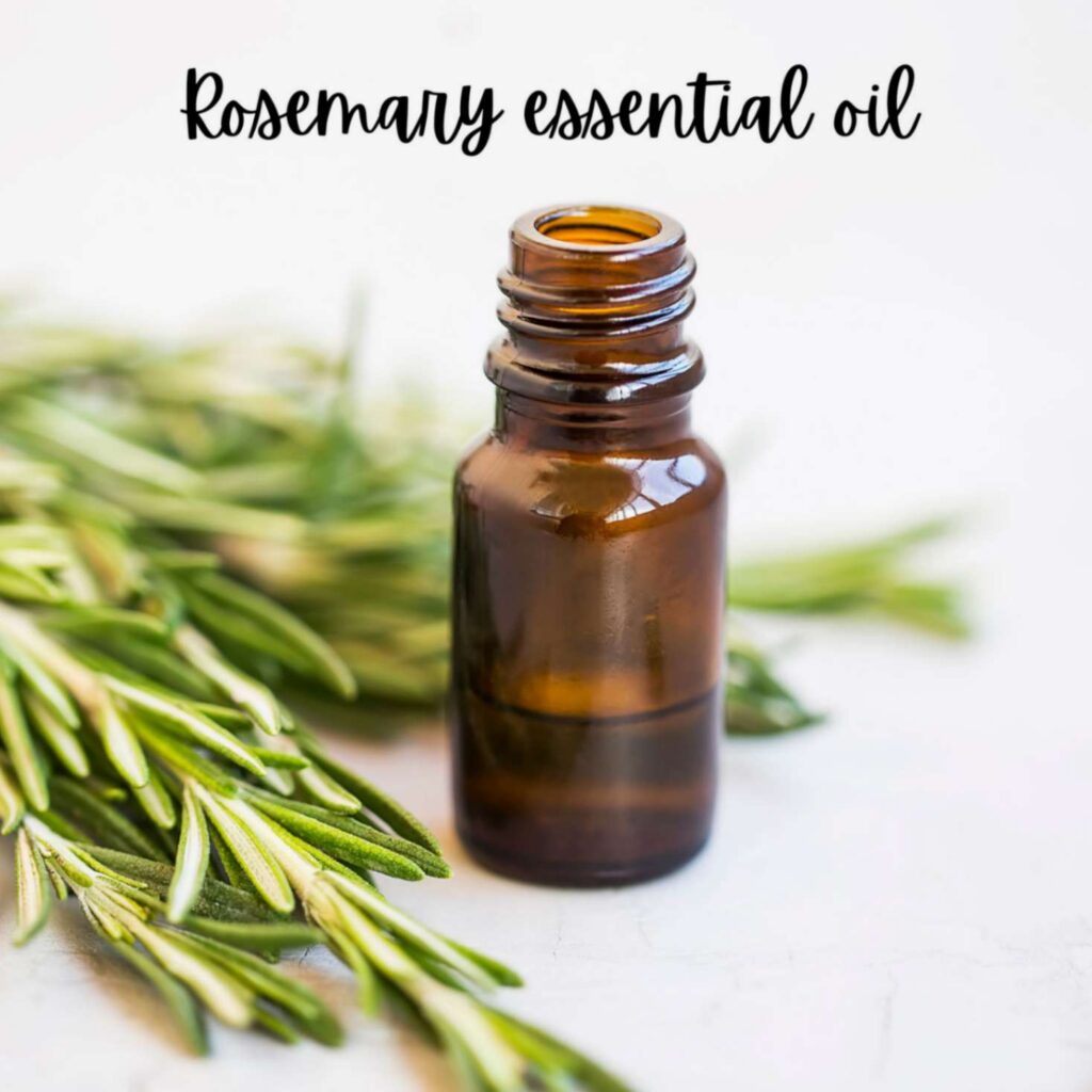 Rosemary essential oil in a bottle