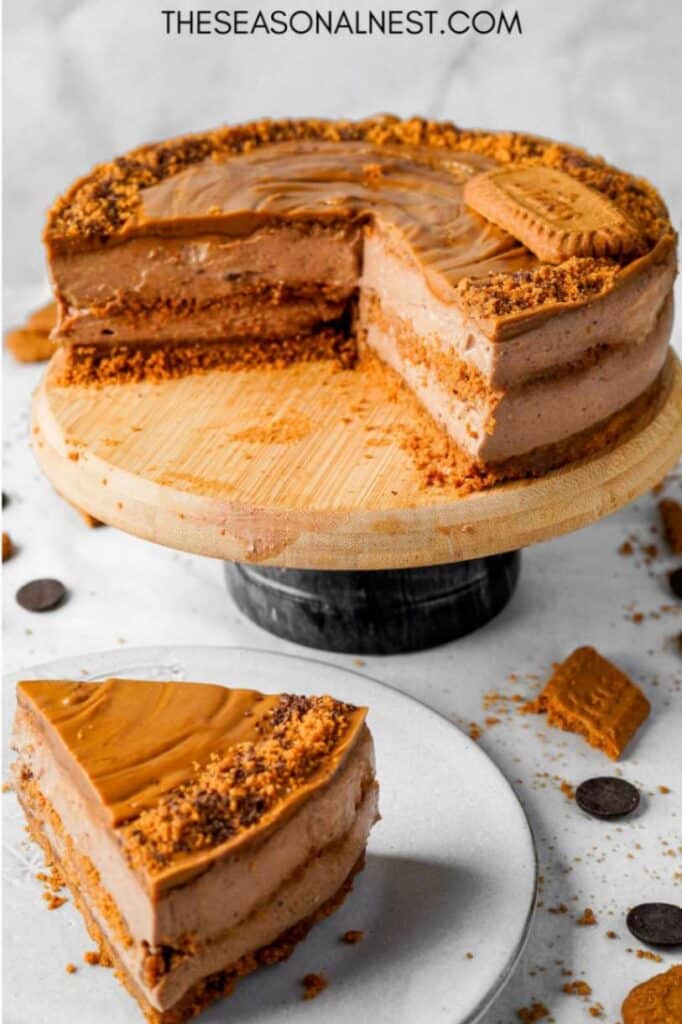 Chocolate Biscoff cheesecake with layers of cookie crust and creamy filling on a cake stand and plate.