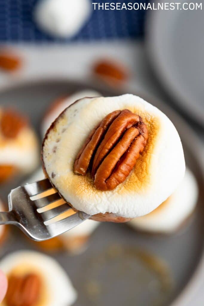 Close up of a baked sweet potato round , with a marshmallow and a pecan nut