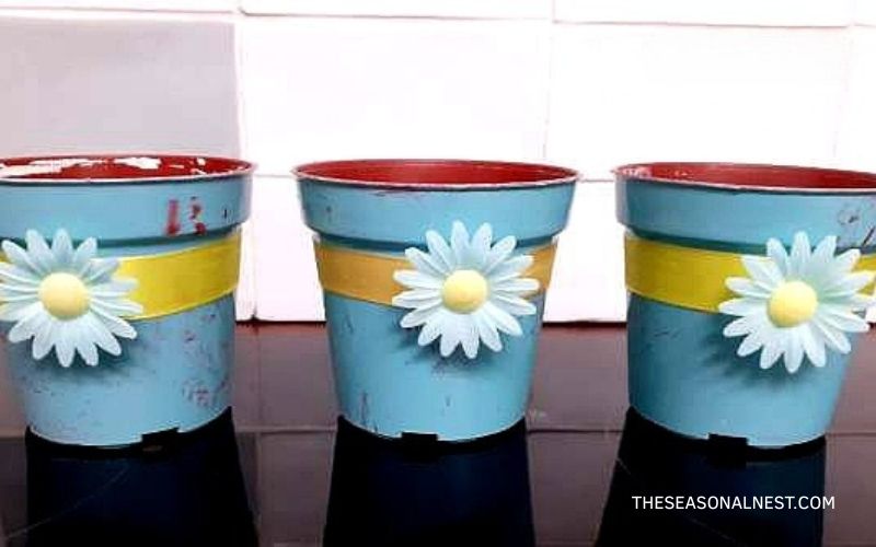 blue pots no flowers