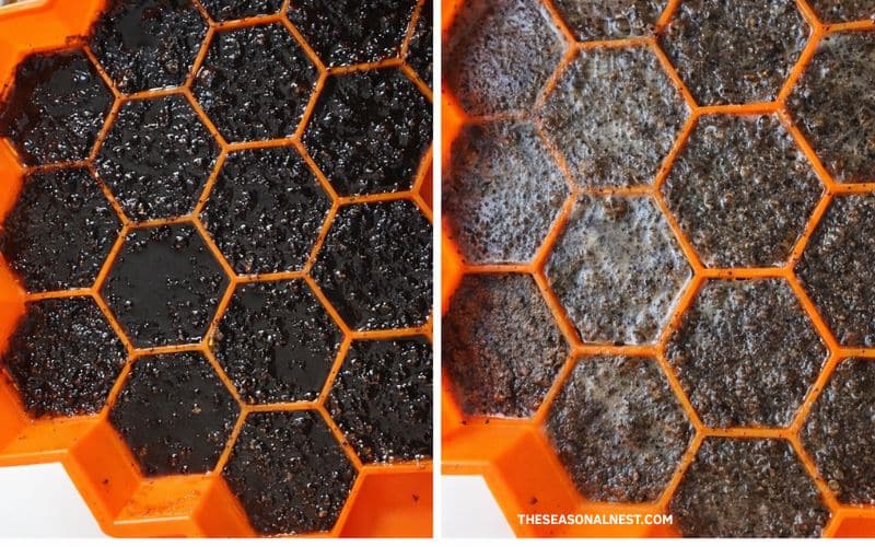 Filling silicon slots with the coffee scrub mixture.