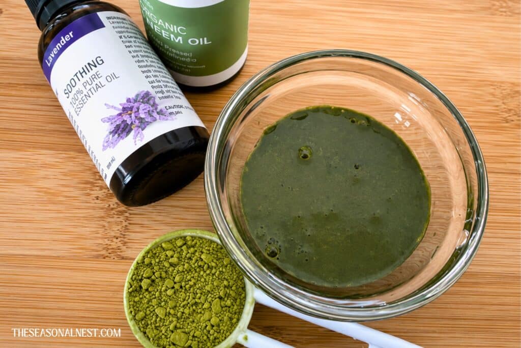 DIY matcha face mask with essential oils and matcha powder in a spoon.