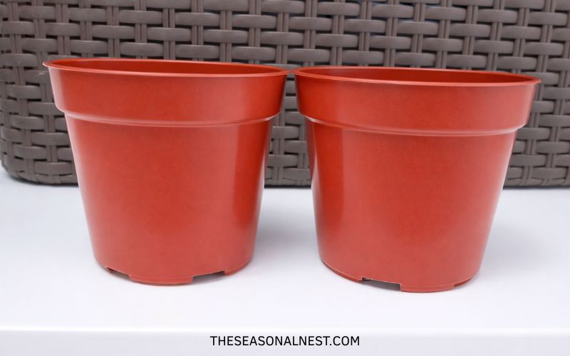 A pair of terracotta plastic pots.