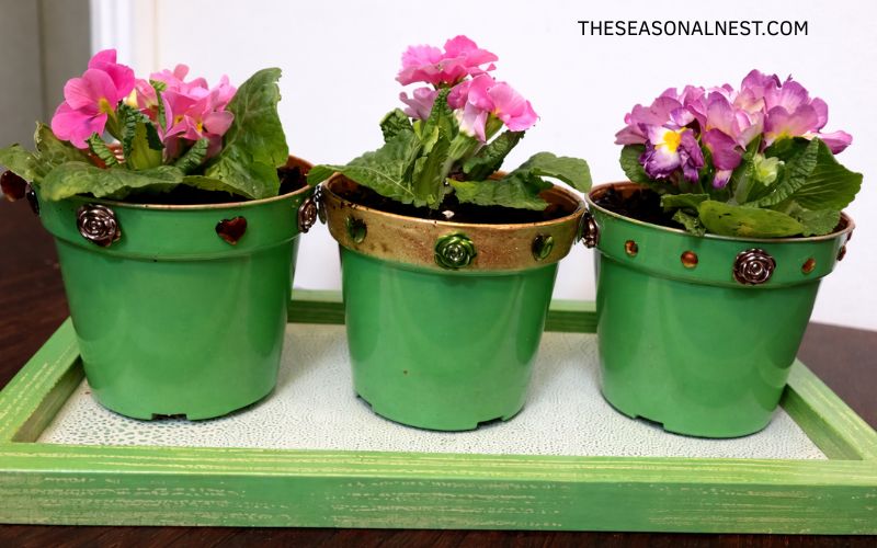 green plastic pots flowers