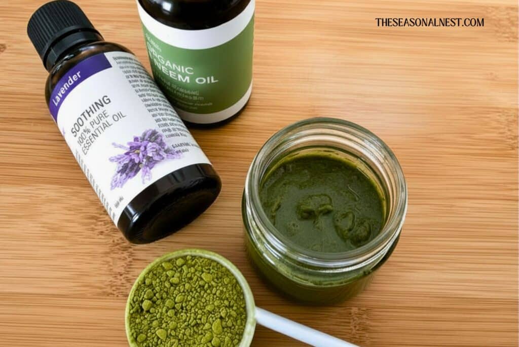 DIY Matcha green tea mask in a small jar with essential oil and matcha powder in a spoon.