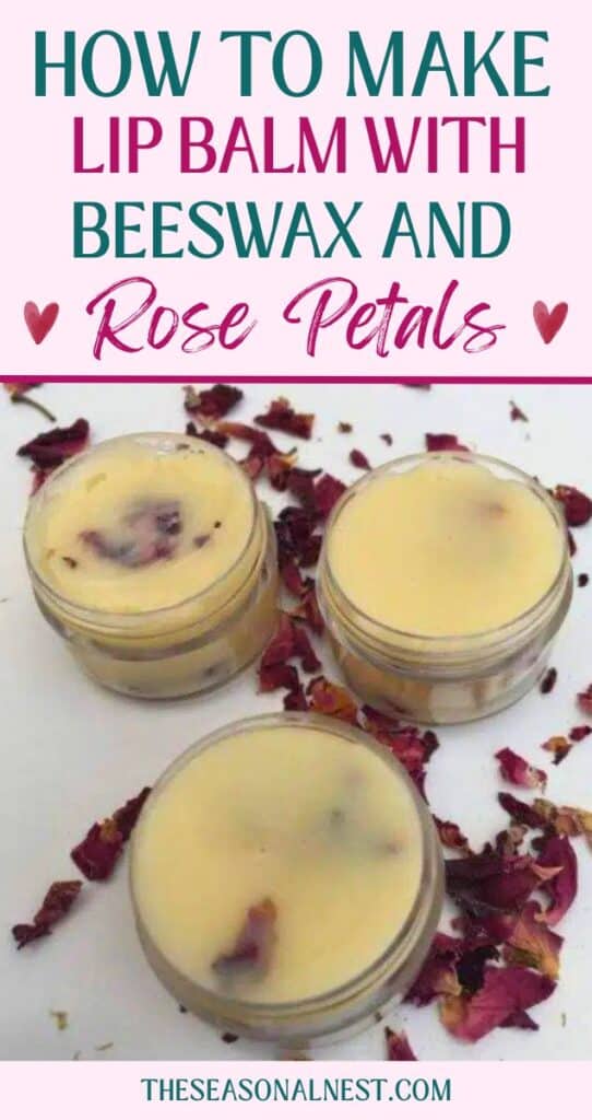 Lip balm containers with beeswax and dried rose petals