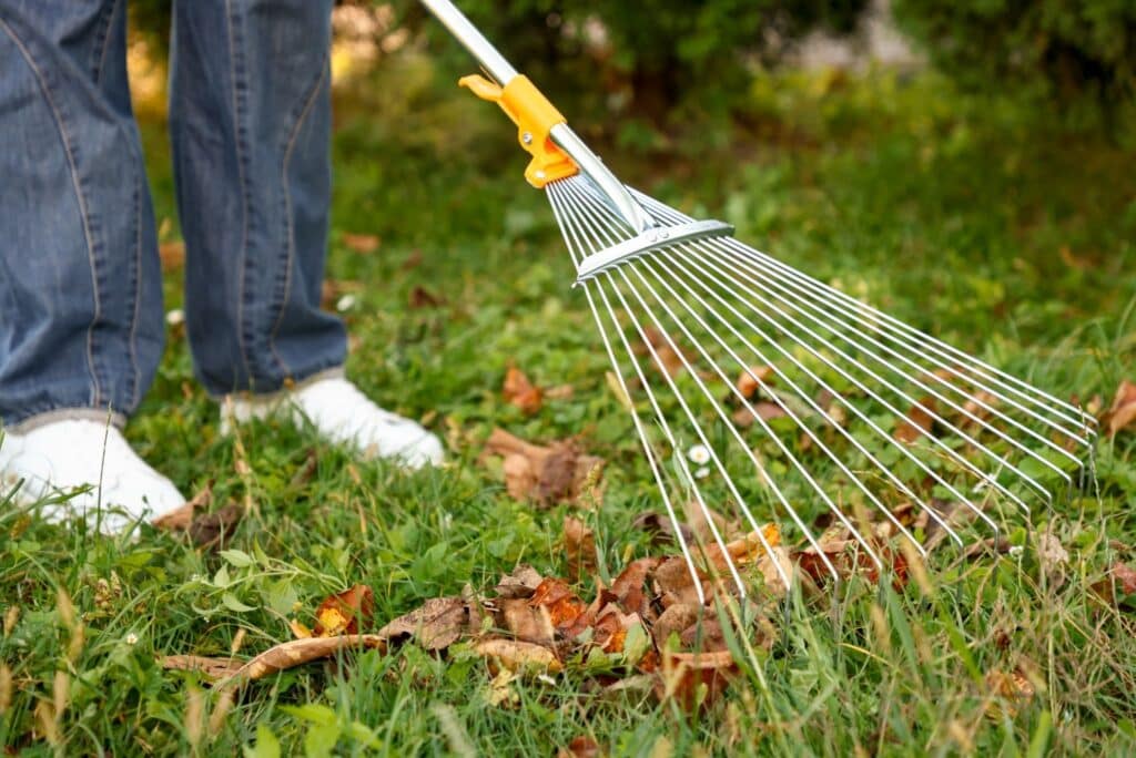 Removing the leaves in the garden.